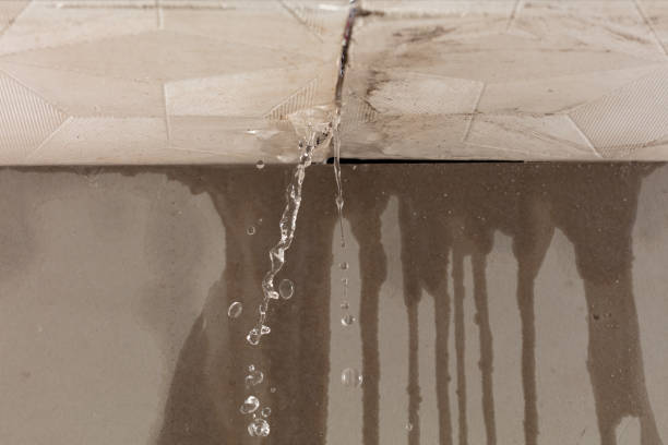 Professional Structural Drying technician working in North Oxford, MA